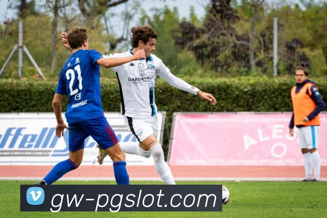 PG电子赏金女王官网发展历程